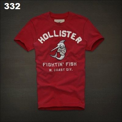 CAMISETA HOLLISTER MASC - P M G
